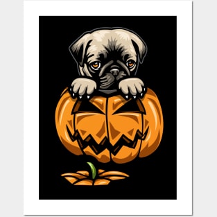 Halloween Cute Pug Pumpkin Posters and Art